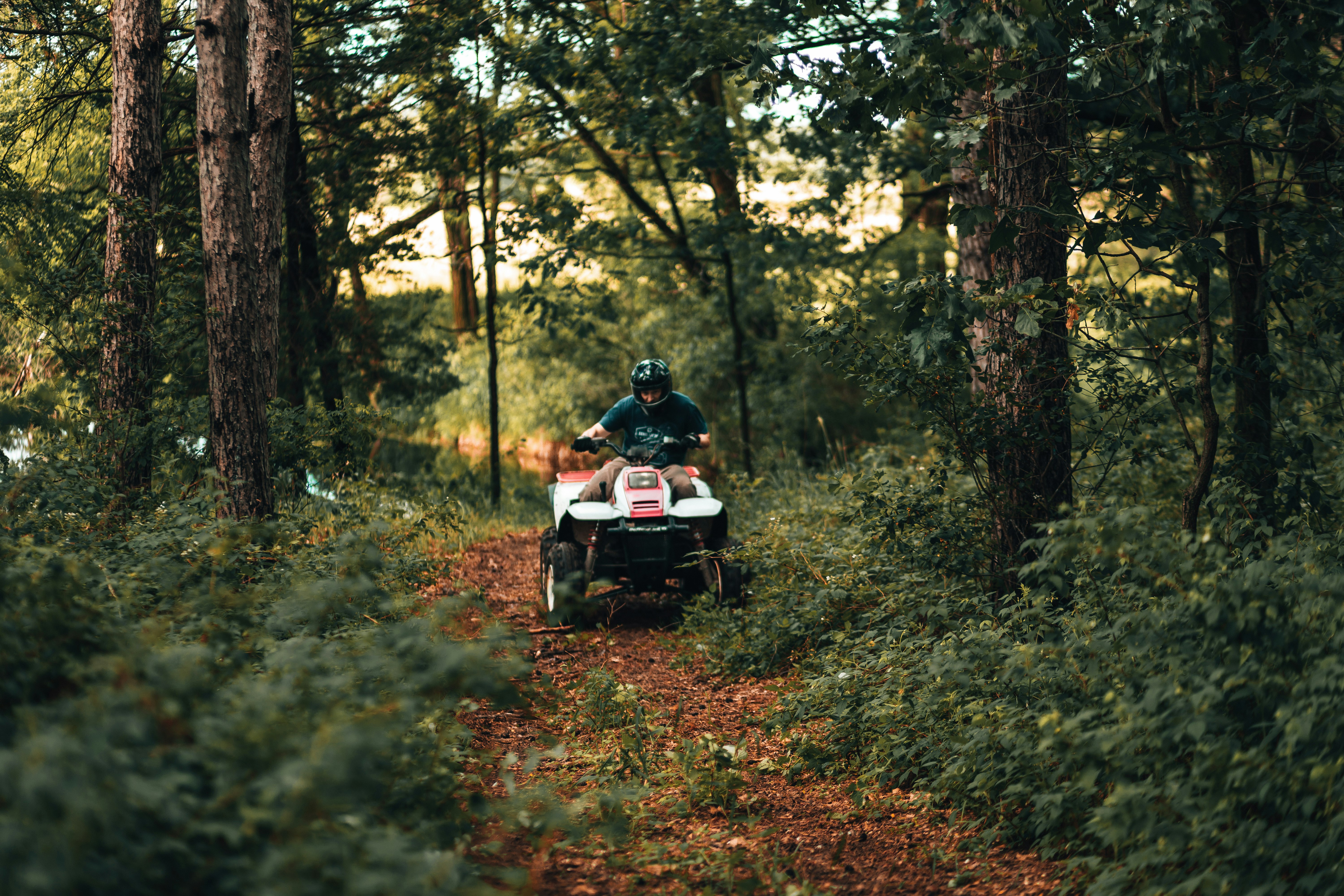 man and woman riding on black and white motorcycle in forest during daytime